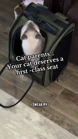 #catbackpack #catcarrier #pettravel #catparents#tiktokshopblackfriday 