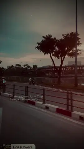 Gió thu về mưa lạnh lùng đường chiều heo mây...#xuhuong #tiktok #amnhacvacamxuc #nhachaymoingay #LearnOnTikTok 