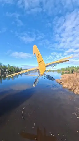 It’s a beautiful day