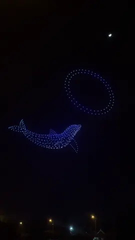 ອາລັງການແທ້… ມື້ແທ້ບໍ່ໃຫ້ວ່າເລີ#ວັນຊາດ2ທັນວາ🇱🇦🇱🇦 #ວັນຊາດທີ2ທັນວາຫມັ້ນຍືນ🇱🇦 