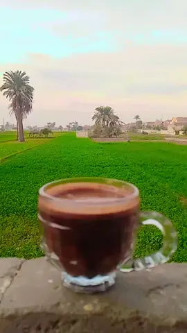 إللي مخسرش مكسبش ربك يدينا العافيه وكل شي مقدور عليا👌🥀