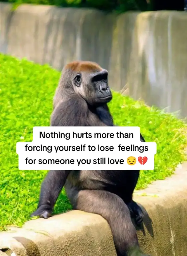 #creatorsearchinsights #fyp #views #memories #viral 