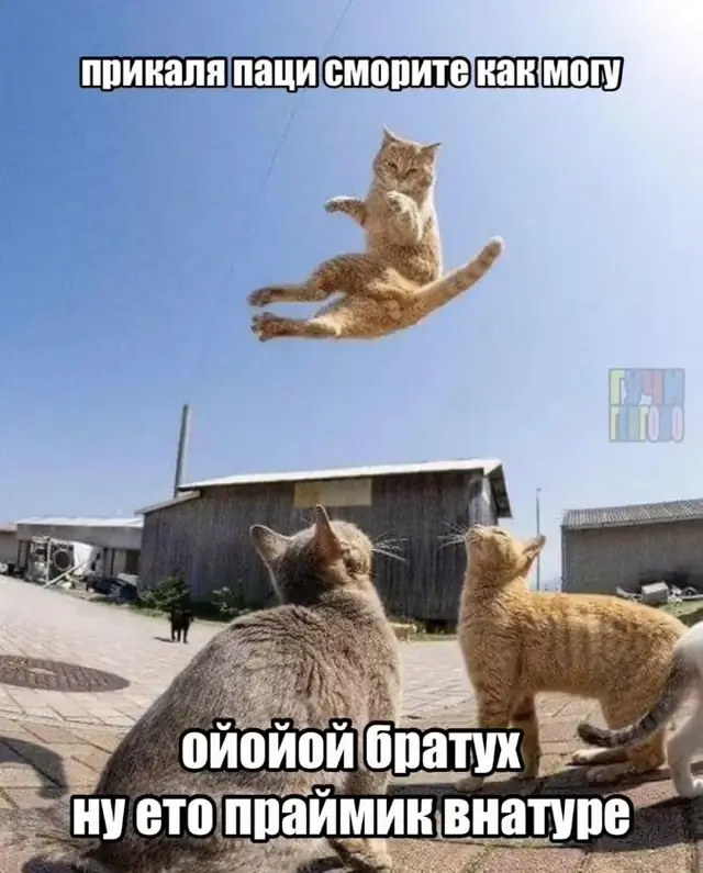 #рекомендации #платина #мем #прайм 