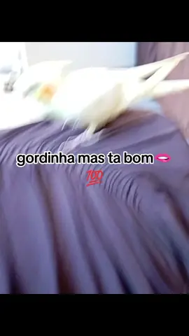 #gordinha #gordinhamastabom #mulherdepreso🔓🕊👫💍 #moranfodoamor #labubudoamor 