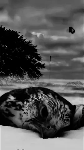 #عبارات #حزينهシ🥺💙،، 