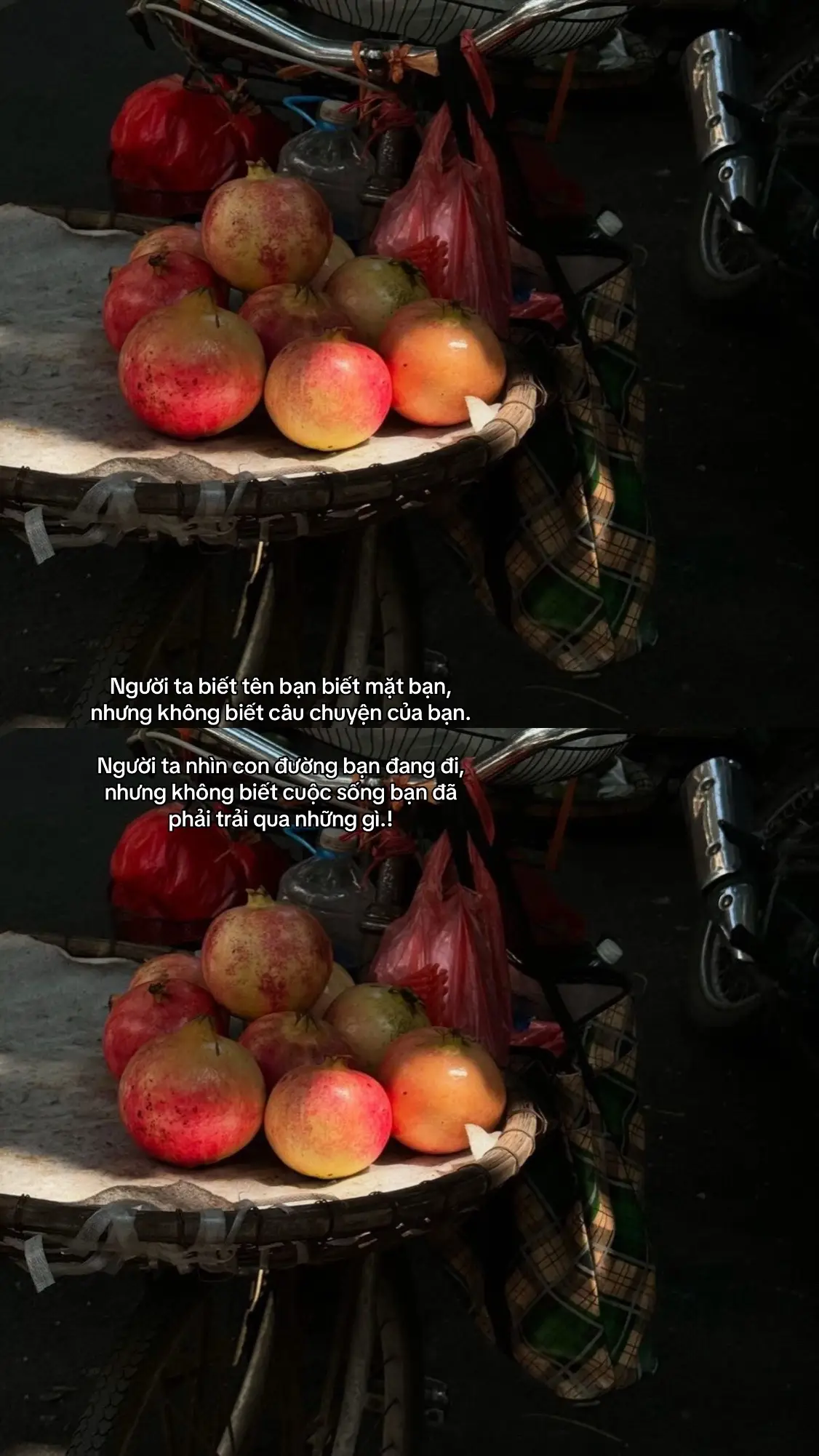 Phần:14 #lucxs #fyp #viral 