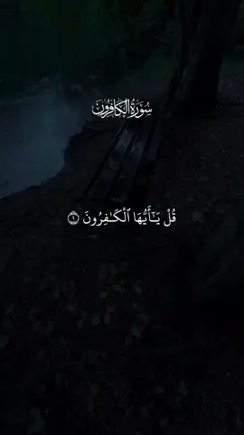 #quran #قران #fyp #fypシviralシ #unfreezemyaccount 