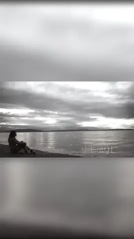 وينكم 🤎🎶.. #محمد_عبد_الجبار #اغاني_حزينه #اغاني_عراقيه #طربيات_الزمن_الجميل_🎼🎶🎻♥️🌹 #Sing_Oldies 