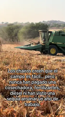 asi se ven meses de trabajo que no valen nada… #maiz #agricultura #fyp #morena #claudiasheimbaum 