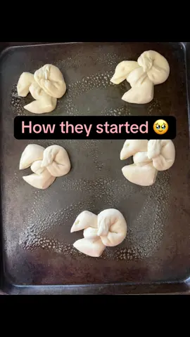 Ope… well I don’t think mom is gonna let me make the rolls next year now 🤦‍♀️😪 #thanksgivingdinner #thanksgiving2025 #thanksgivingfail #fail #turkeyrolls 