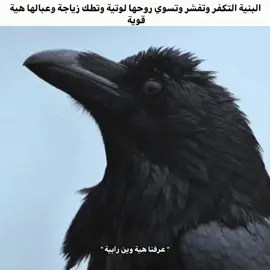 عبالها هية قوية #fyp #foryou #explore #بنت 