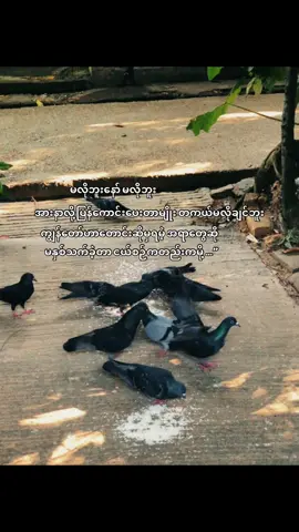 #fypシ #foryoupage #crd #fyppppppppppppppppppppppp #tiktok 