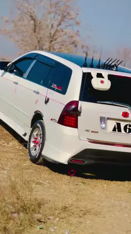 👑 Zia king 👑#foryou #foryou #foryou #👑👑👑👑👑👑👑👑👑👑👑👑👑👑👑 