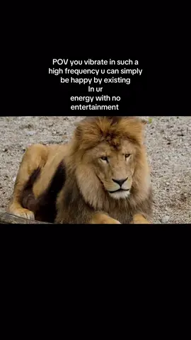 The higher frequency the more u enjoy the littlest things like when u were a kid 