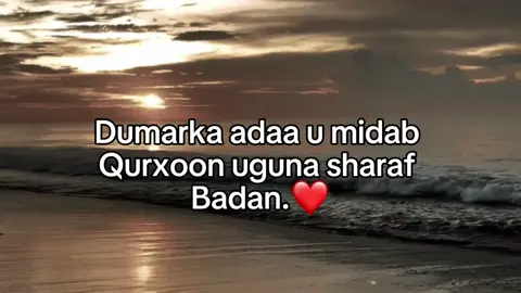 👑❤️🫶🏽#foryou #fypシ゚ #viewsproblem😭 #soomalitiktok #foryoupage 