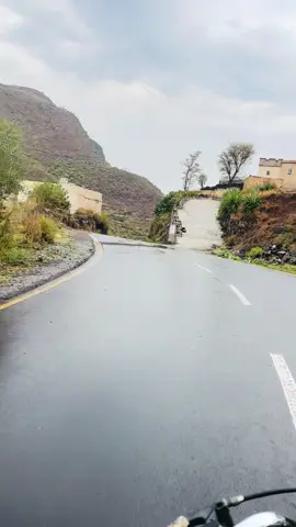 ماله حبيبي #اكسبلورexplore 