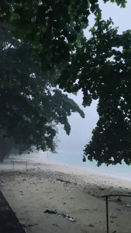 people come and go 🌬️ #fyp 