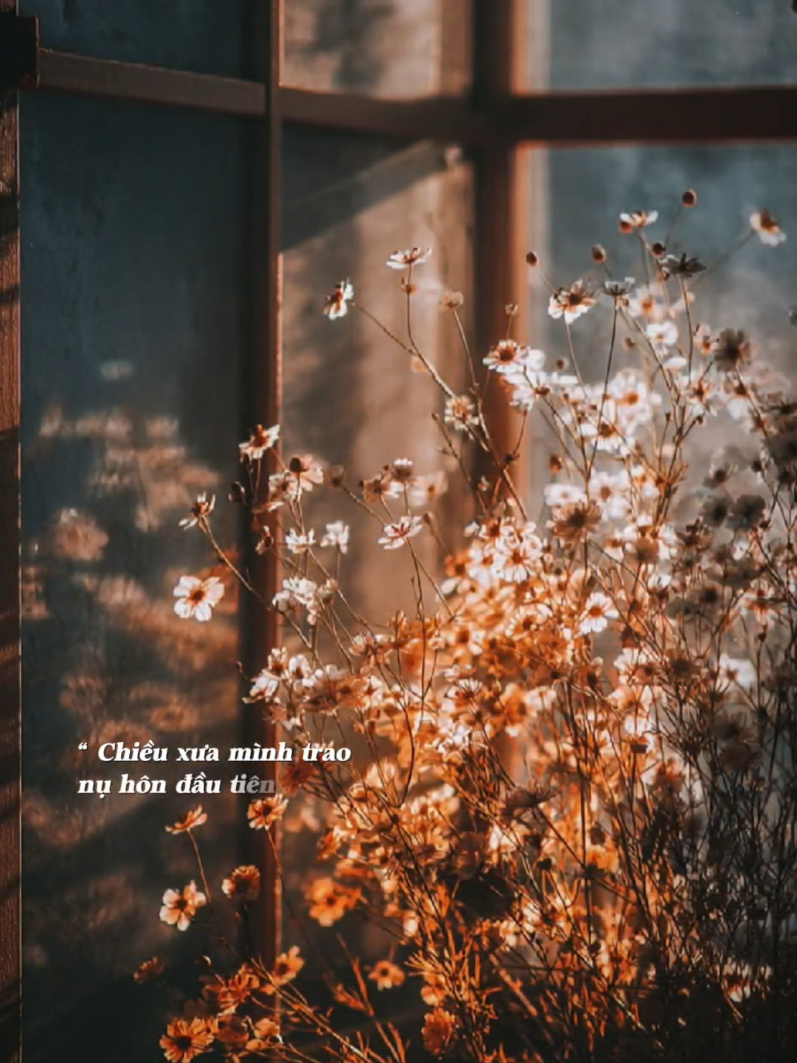 Mùa thu buồn không mà sao làm rơi... #nhachaymoingay #hoanghonvaem #bkmuzic 