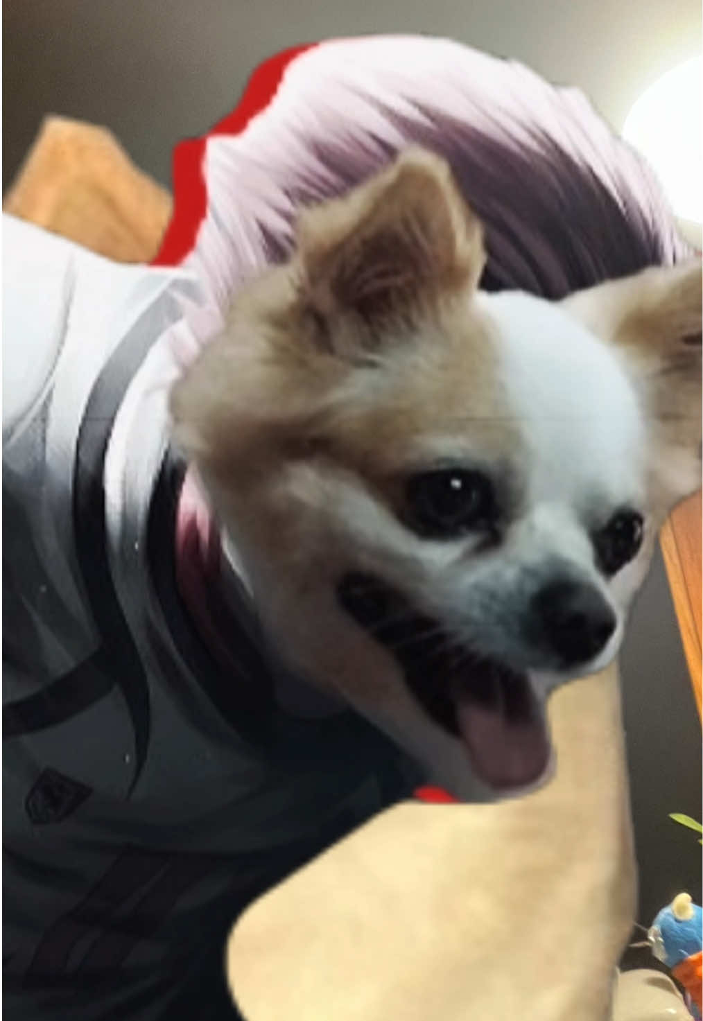 เพลย์ลิสกูแม่งแบบว่า #niko25 #fyp #พีคตอนจบ #เรื่องเล่า #p 