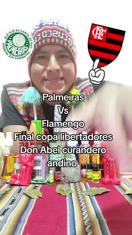 #predicciones #copalibertadores #palmeiras #flamengo #final 