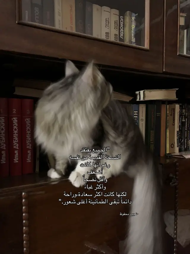 #بدون_موسيقى #fyp #اقتباسات #🦋 