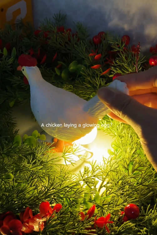 Bought this last year for white elephant and can confirm it was the most sought out item 🤣🤣#christmasgiftideas#TikTokShopBlackFriday#TikTokShopCyberMonday#spotlightfinds#TikTokShopHolidayHaul