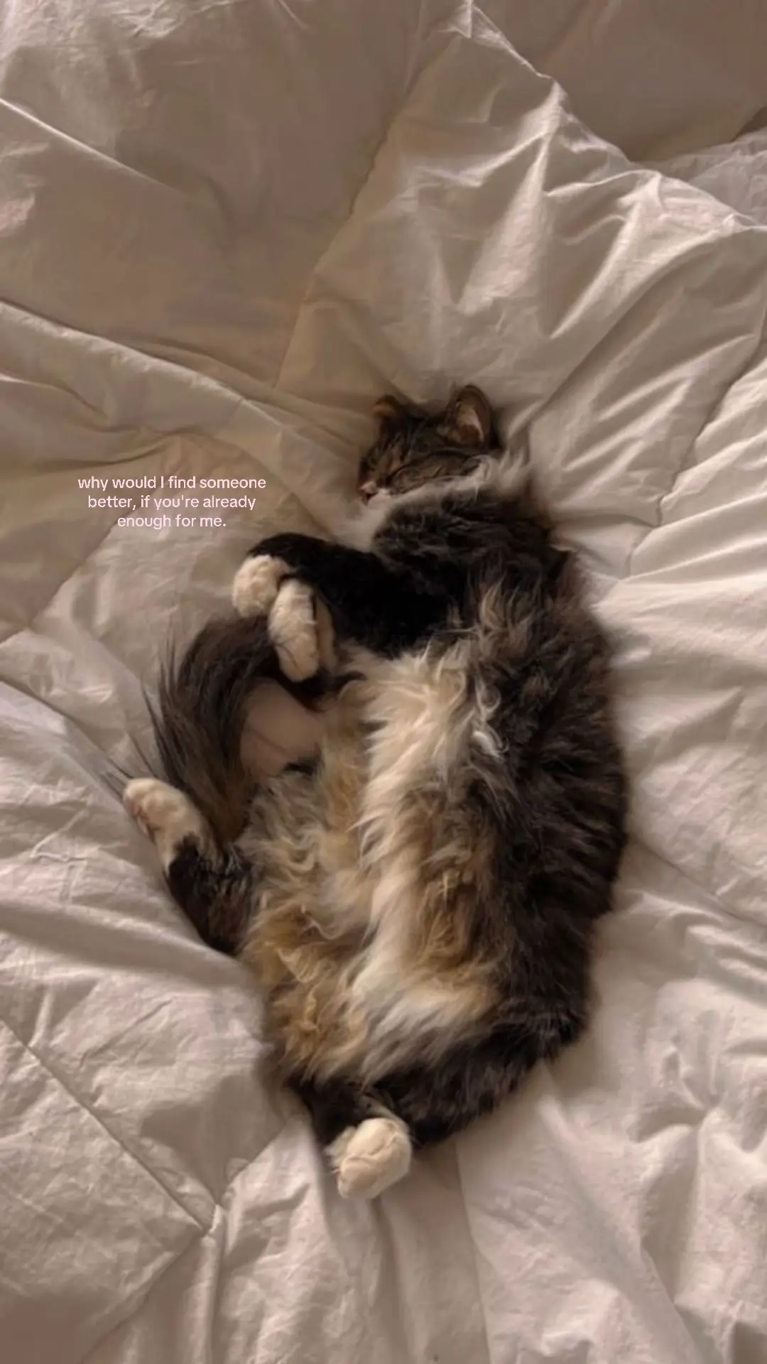 #fyp #foryoupage #4u 