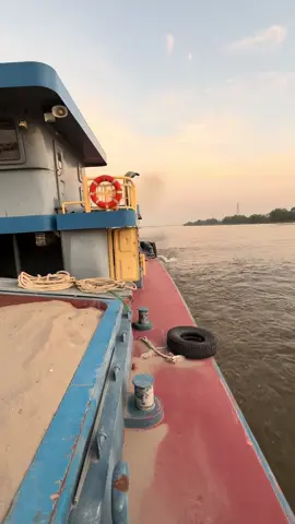 Nghe tin dầu mới xuống giá🤣🤣