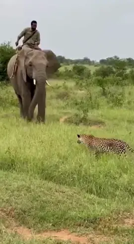 Nature is unpredictable… and this moment says it all