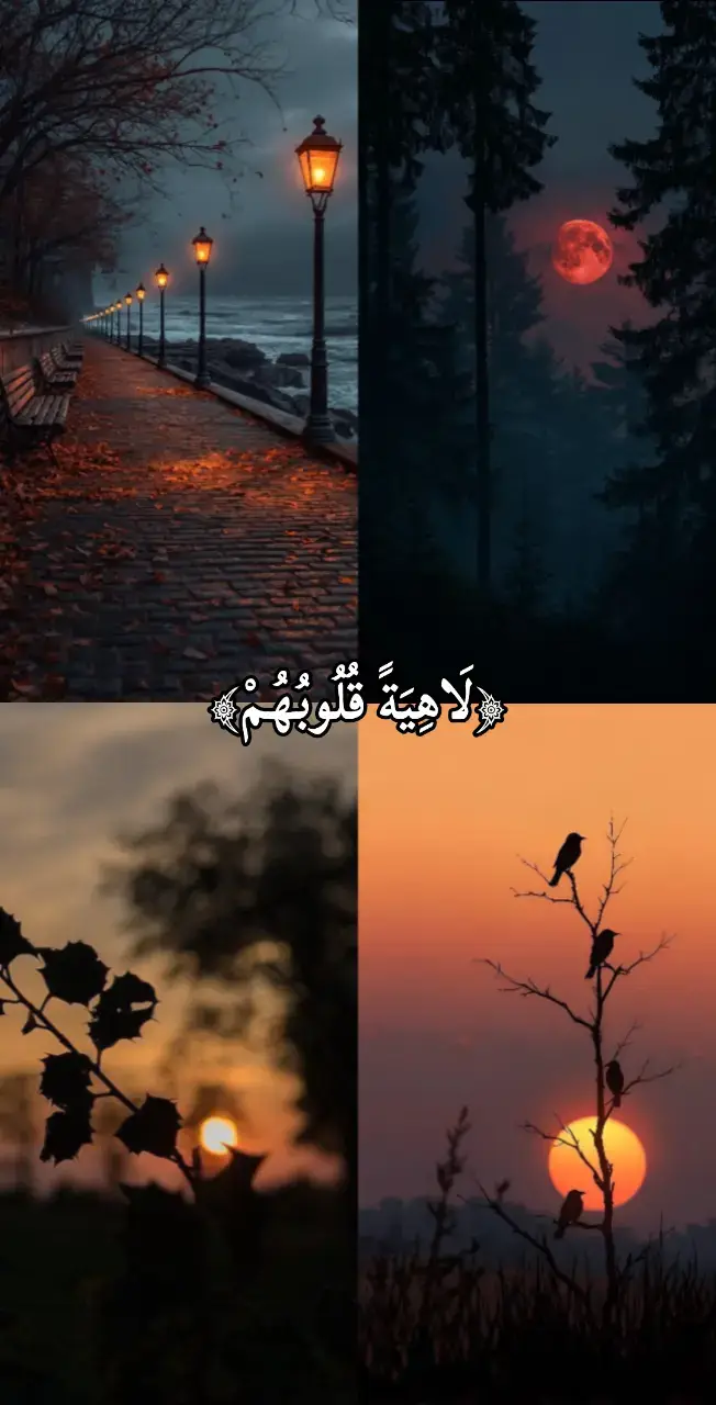 تلاوة خاشعة للشيخ احمد النفيس ❤️🤍 #احمد_النفيس #quran #قران #قران_كريم #quran_alkarim 