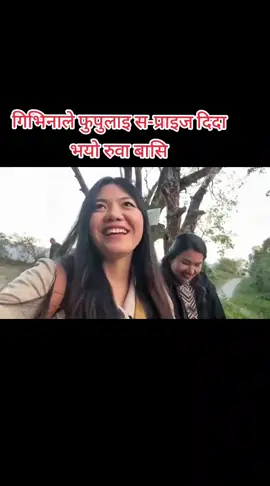 #saru_thapa #govairalvideo💕 #terdingvideo #musarpokhara_nepal🇳🇵 