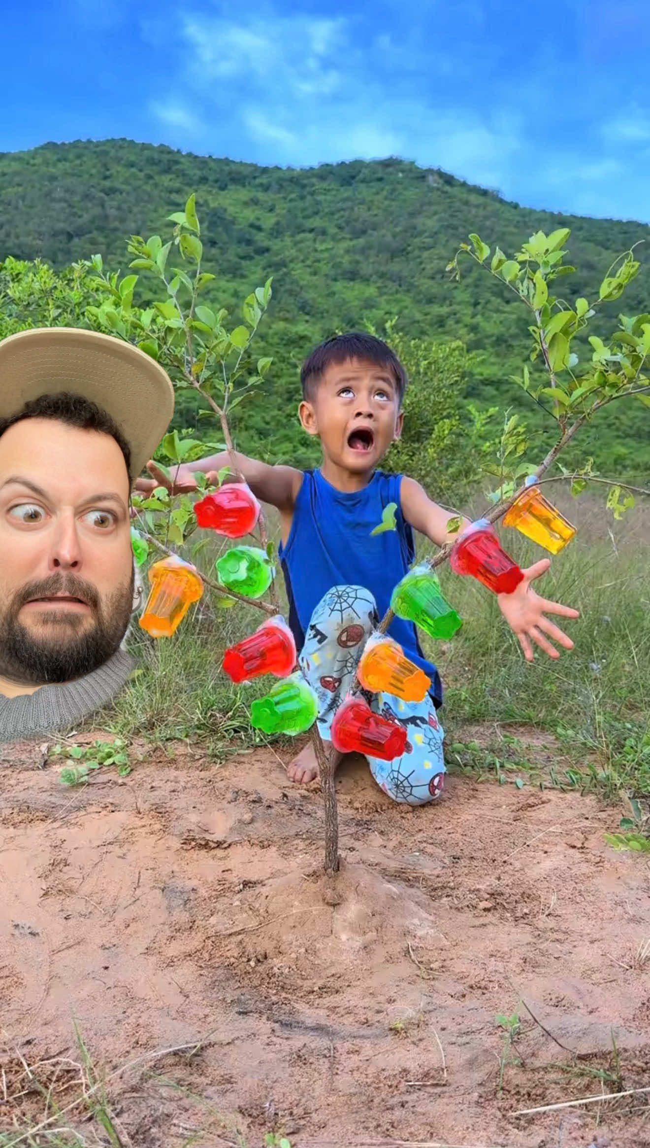 ¿Nombre del árbol? No entiendo nada.