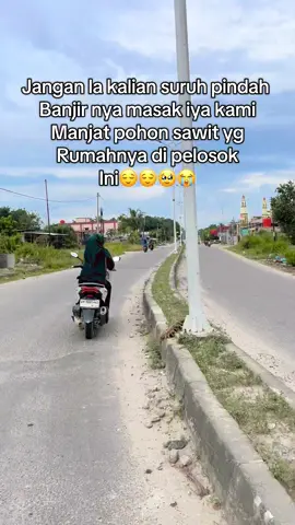 Cemala la lek gabisa manjat pula kami🫣😅😭 #fyppppppppppppppppppppppp #banjirbandang #riau #trendingsong #bercyandaaaaa 