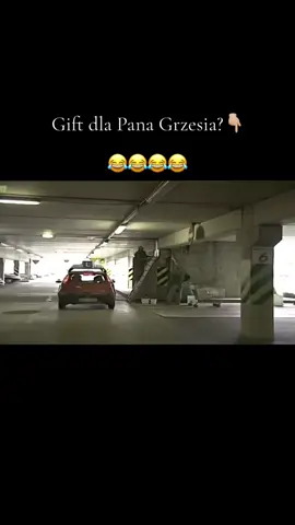 ✨TRZYMAJ SIE PĘDZLA BO DRBAINA BIERA ✨😂 #naukajazdy #dlaciebie #pangrzesiu #ttv #śmiesznemomenty 