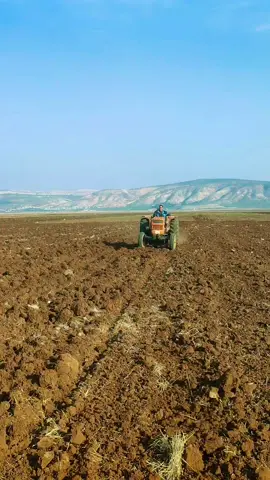 الرزق الحلال