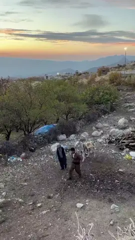 Zengin ile Marabası #siirt #batman #bitlis #şırnak #eruh 