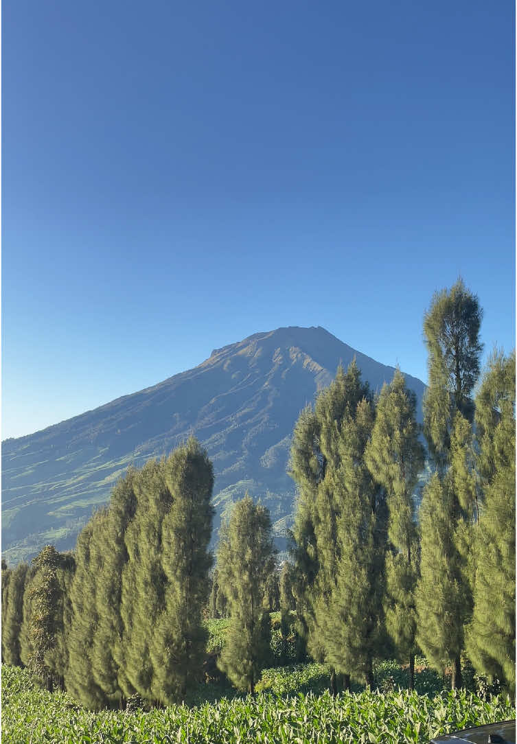 😌😌. #gunung #gunungsumbingmagelang #lautanawan #lagusad #sad #vibes #galaubrutall #4upage #4u #fyp 