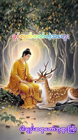 ခွင့်လွတ်တတ်တဲ့အတွေး#ပါချုပ်ဆရာတော်ဘုရာကြီး🙏🙏🙏 #ပါချုပ်ဆရာတော်ဘုရားကြီး၏အဆုံးအမတရားတော် #တရားတော်များ #fyp #fyppppppppppppppppppppppp 