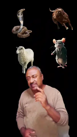 Don't say what happened to me if it didn't happen to me#foryoupageofficiall #foryoupageofficiall #ethiopian_tik_tok🇪🇹🇪🇹🇪🇹🇪🇹 #post 