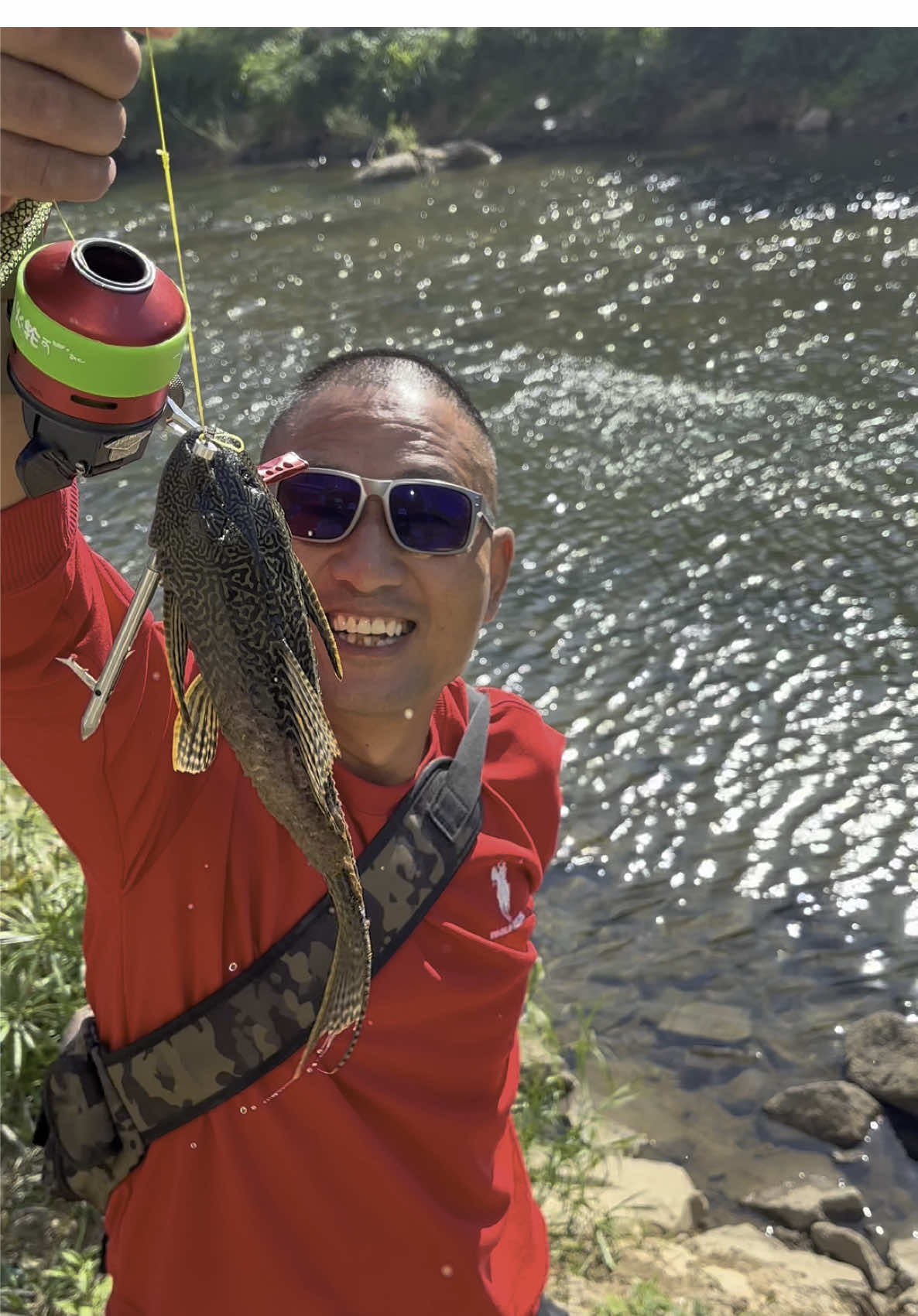 This type of fish damages the ecological environment.