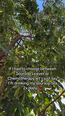 #drsebi #healthyliving #naturalhealing #herbalmedicine #holistichealth                         