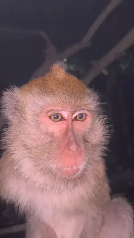 Sabar nyet#fyp #fypシ゚ 