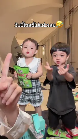 #ต้าวแฝดโซลโมเน่ 