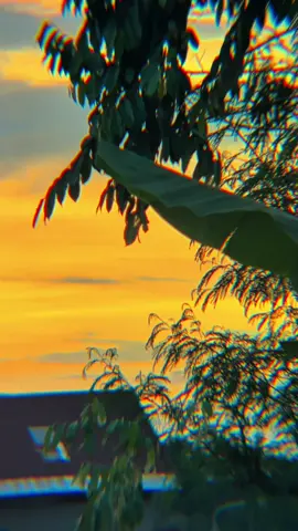 #bwi24jam #jawapride 