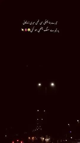 تیرے بنا😭🪐😩🤌🏻🦋🫀ahm !