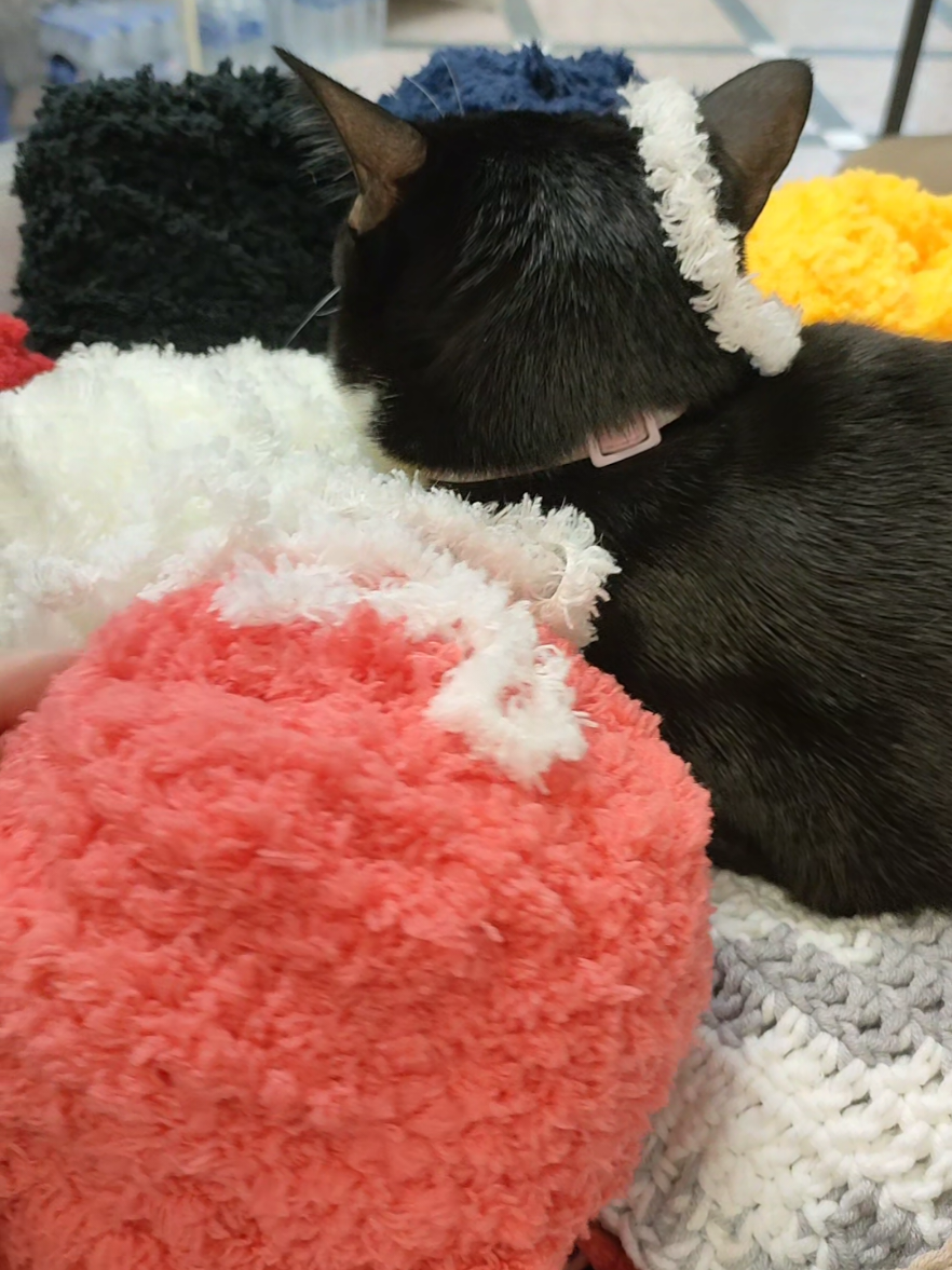 ไหมพรมขนแกะขนนุ่มๆๆๆสีสวยมากๆๆๆ #งานถักโครเชต์ #crochet #ไหมพรม #ไหมพรมขนแกะ #ไหมพรม 