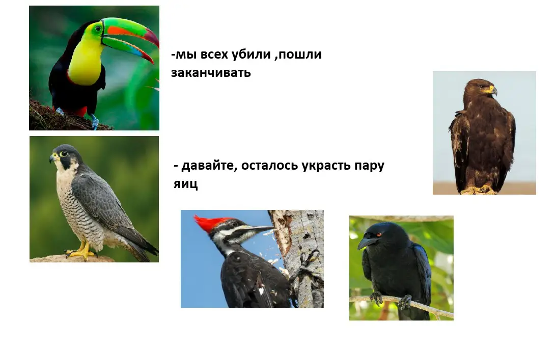 #birdgame3 #birdgame #пеликан #метапатча #foryou 