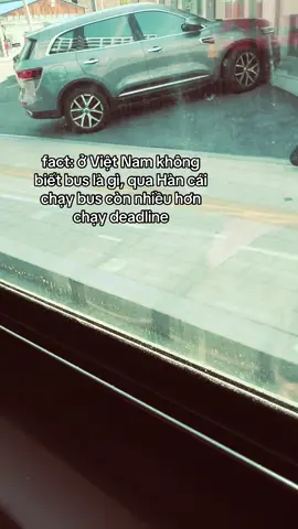 #duhocsinhhanquoc #유학생🇰🇷🇻🇳 #fyp #xuhuong 