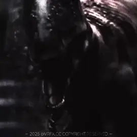 #CARCHARODONTOSAURUS | #walkingwithdinosaurs #paleontology #prehistory #dinosaurs | TAGS: @𝓛𝓔𝓖𝓔𝓝𝓓𝓐𝓖𝓞𝓓𝓩𝓘008 @⋈ Ǥøɉɨ ⋈ @♛ ⋈ IƬƧ GӨJIЯΛ ⋈ ♛ @ak0.noah 🦕🦭 @𝘉𝘓𝘜𝘌𝘚_𝘊𝘖𝘙𝘌 @𝔇𝔦𝔩𝔬 @𝕯𝖝𝖒𝖔𝖓_𝕲𝖔𝖏𝖎 @𝔾𝕠𝕛𝕚𝕣𝕒 𝕂𝕚𝕟𝕘 @i dont know! @indom_editz @lyagush @skyz / trae / trev @𝙎𝙏𝙍𝘼𝙏𝙎™ @𝐕𝐀𝐊𝐒𝐏𝐑𝐎 @Venges_life @VSP GODZILLAKING650 @Z N 