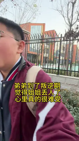 哎…弟弟长大了，有自己的审美了#姐弟 #搞笑 